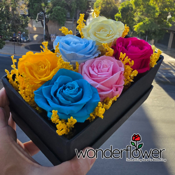 Cajas de Rainbow