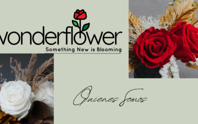 Descubre la Belleza Eterna con Wonder Flower